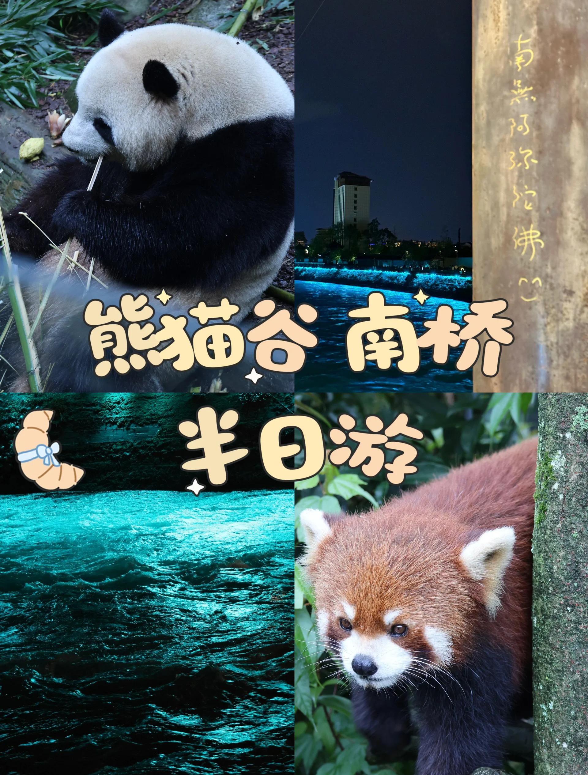 大型熊猫徒步游，亲近自然的环保运动的简单介绍