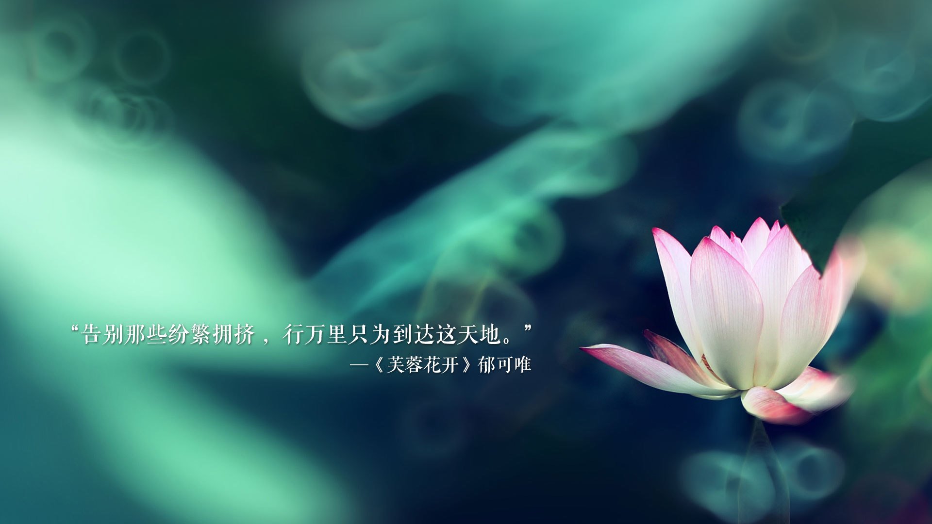 “青训科技创新引领行业潮流，智能训练成新风向”，青训系统