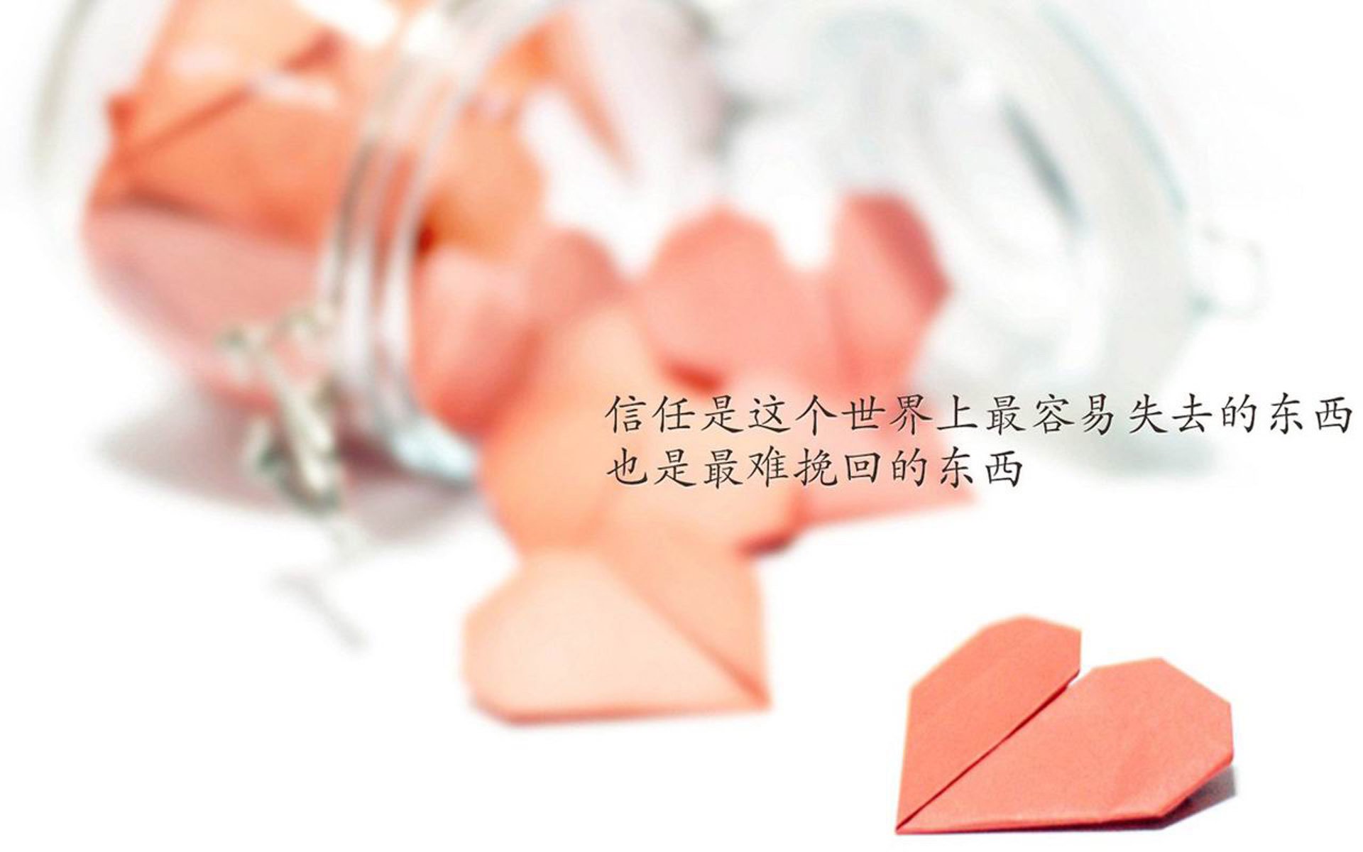 开云首页登录-CBA联赛市场推广计划，cba营销方案