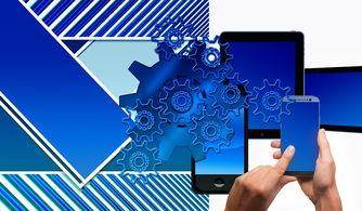 kaiyun 开云体育-中国篮球联赛品牌建设及粉丝经济研究，国内篮球职业联赛