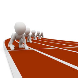 开云-体育赛事志愿者培训与管理机制研究，体育赛事志愿者管理方法