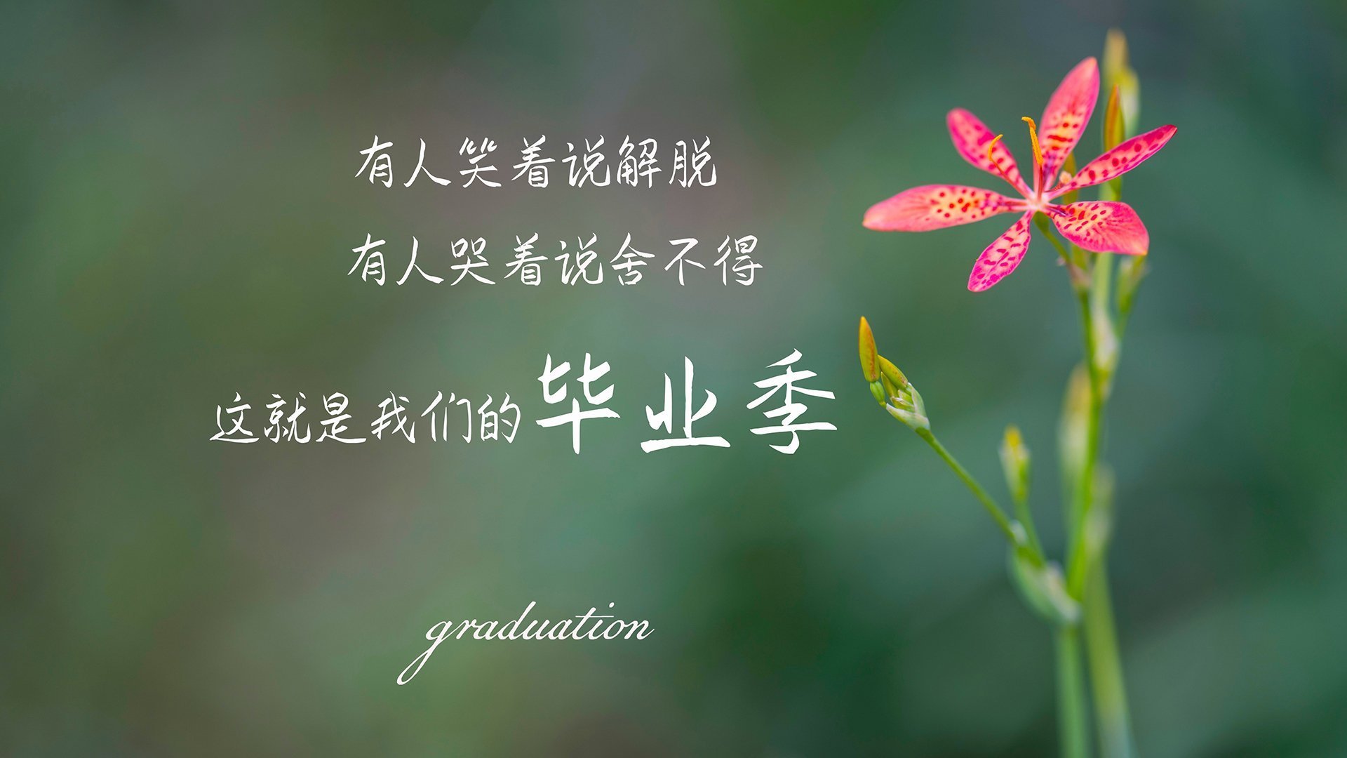 CBA赛季精彩赛事不断涌现,cba 赛季