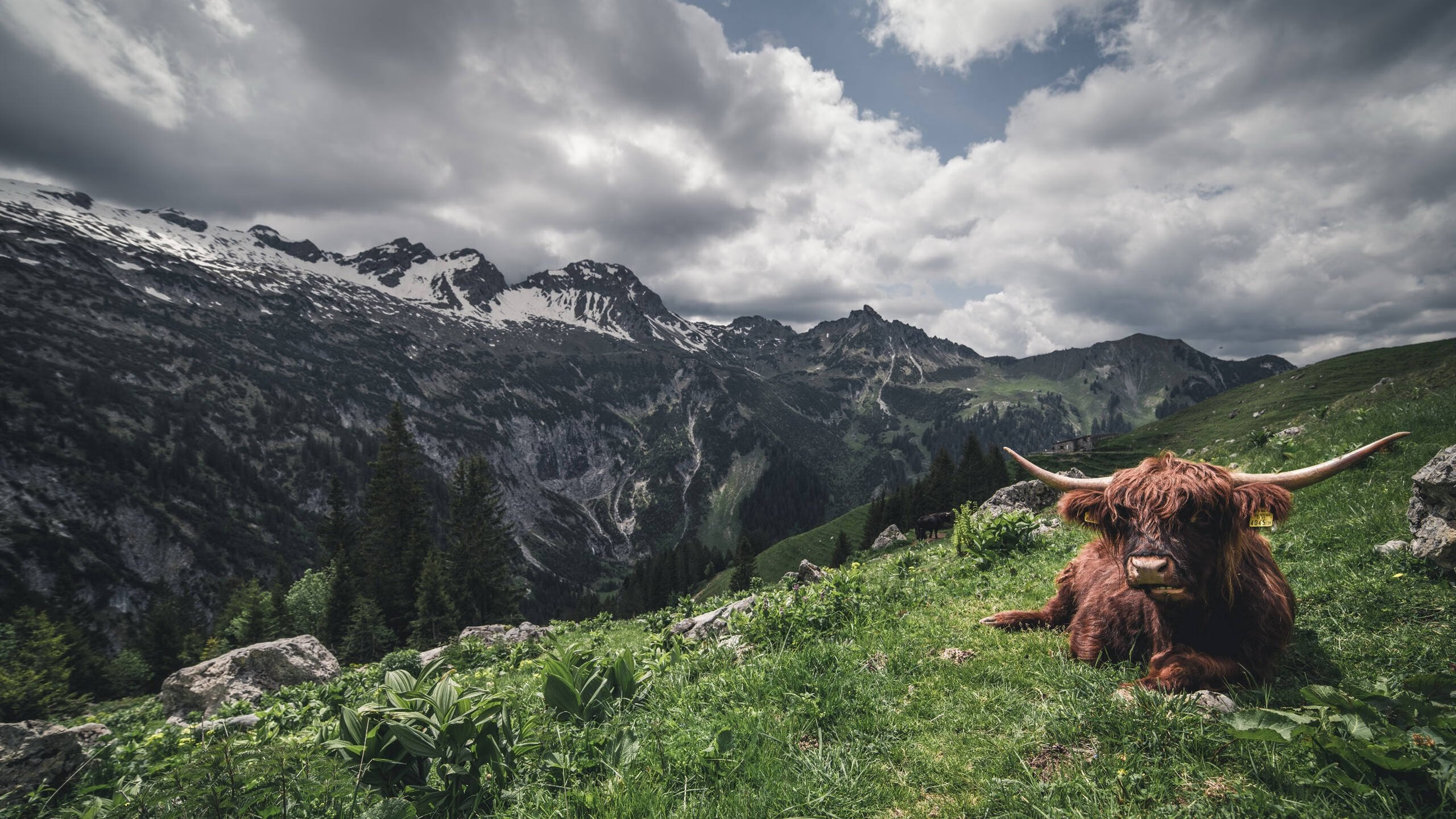 开云网页版-中国男篮深化传切体系提升进攻效率，中国男篮传奇球员