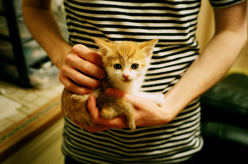 瑞典队乒乓战术：从防守反击到全面进攻，瑞典著名乒乓球有哪些选手