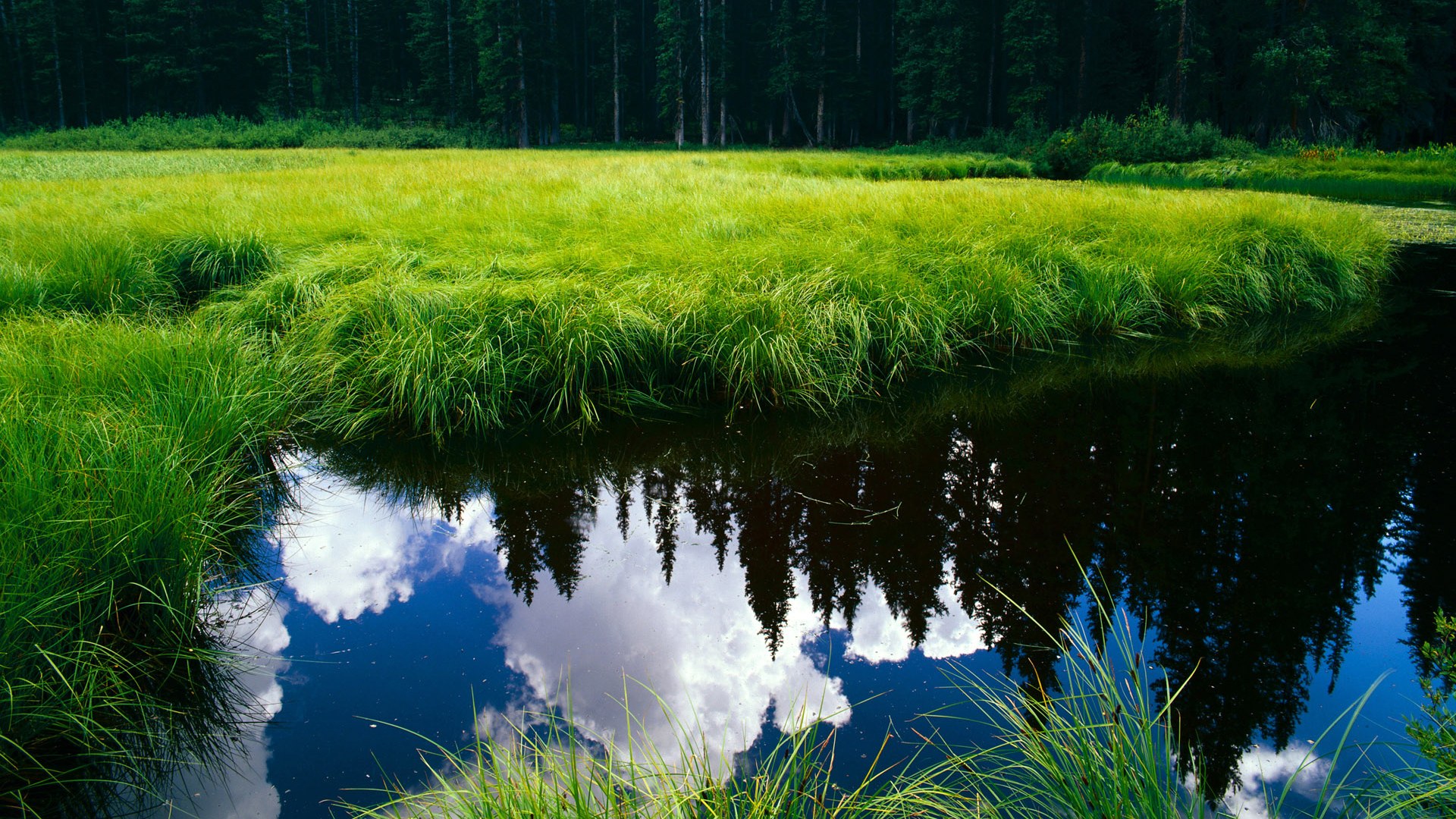 开云下载-自由泳50米划频冠军与末位差距达8次，自由泳50米等级标准