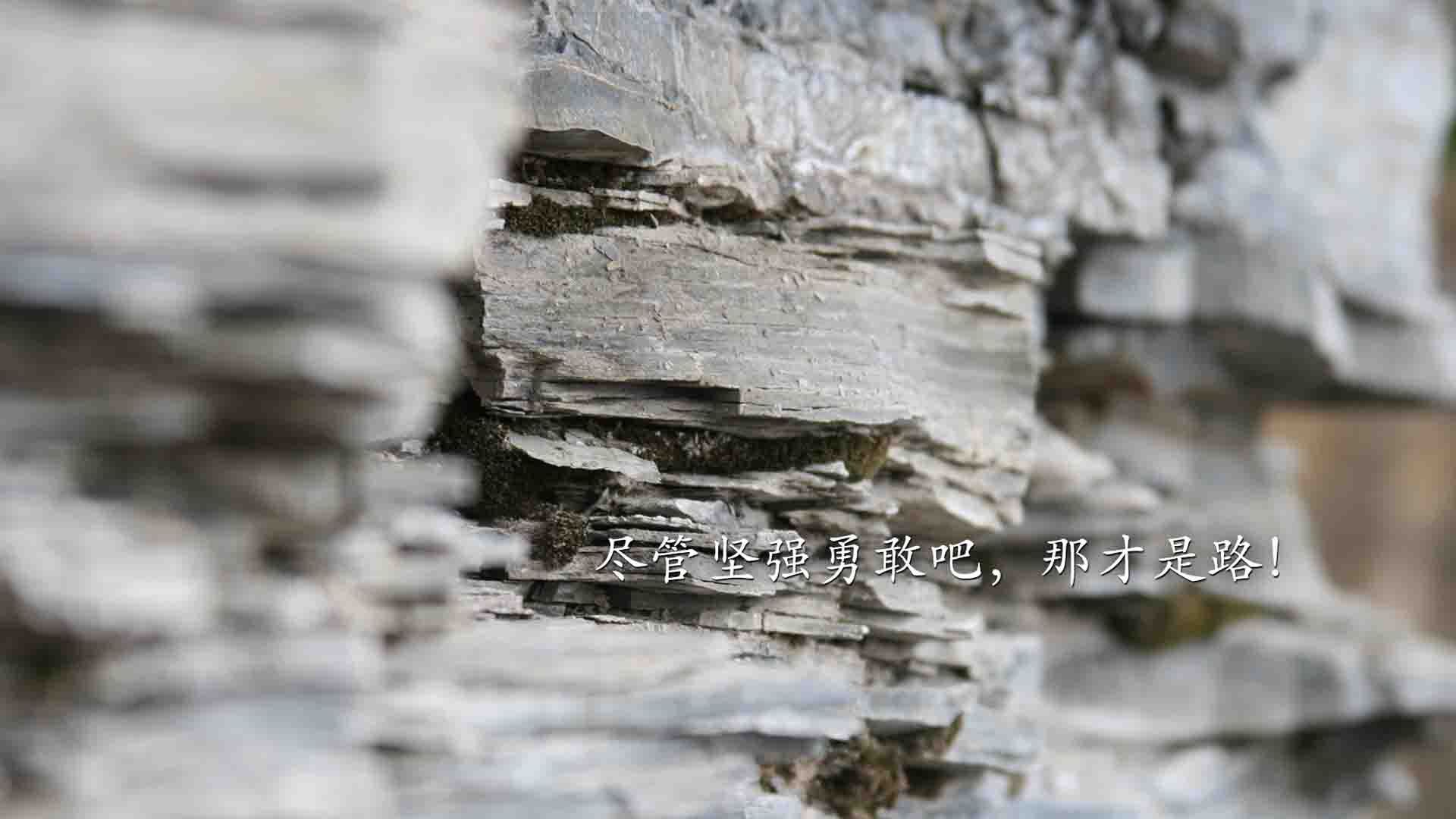 开云官方网页登录-足球比赛视频解读缺少战术层次引导，足球比赛体系与战术打法