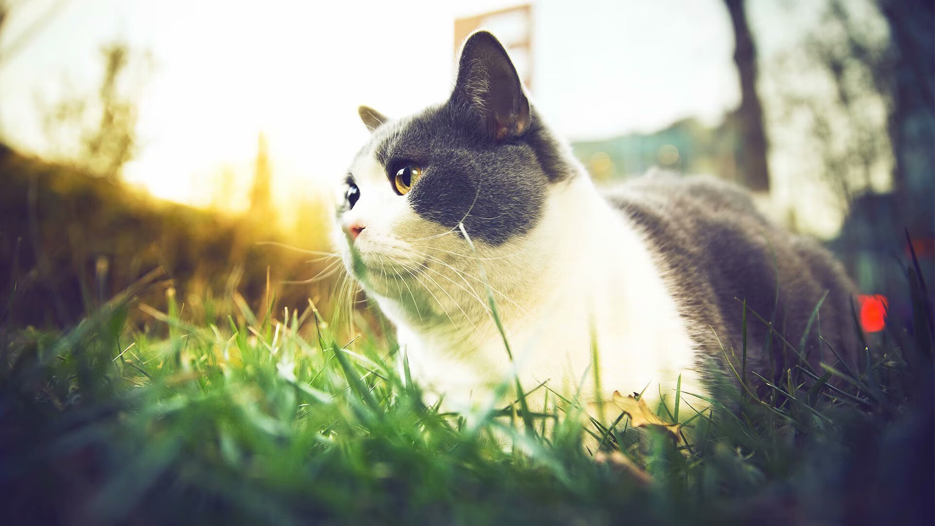 开云官网首页-女子排球联赛积分榜形势突变，女子排球联赛排名