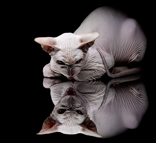 kaiyun中国官方网站-平台上线球迷投稿栏目鼓励用户参与内容共创形成社区归属感