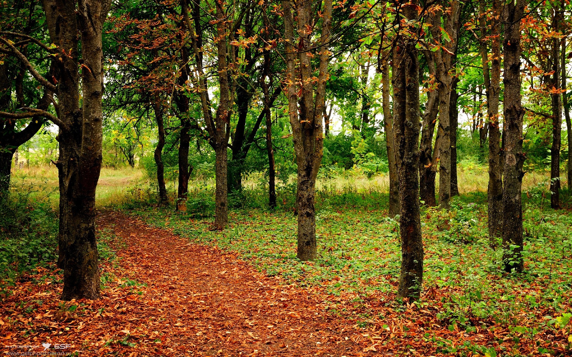 Kaiyun官方登录入口-男篮亚洲杯中国小组出线在即，男篮亚洲杯国家队