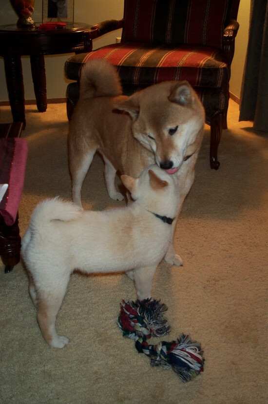 Kaiyun APP-联赛阶段性总结出炉我队各项技术数据全面提升表现亮眼，联赛相关