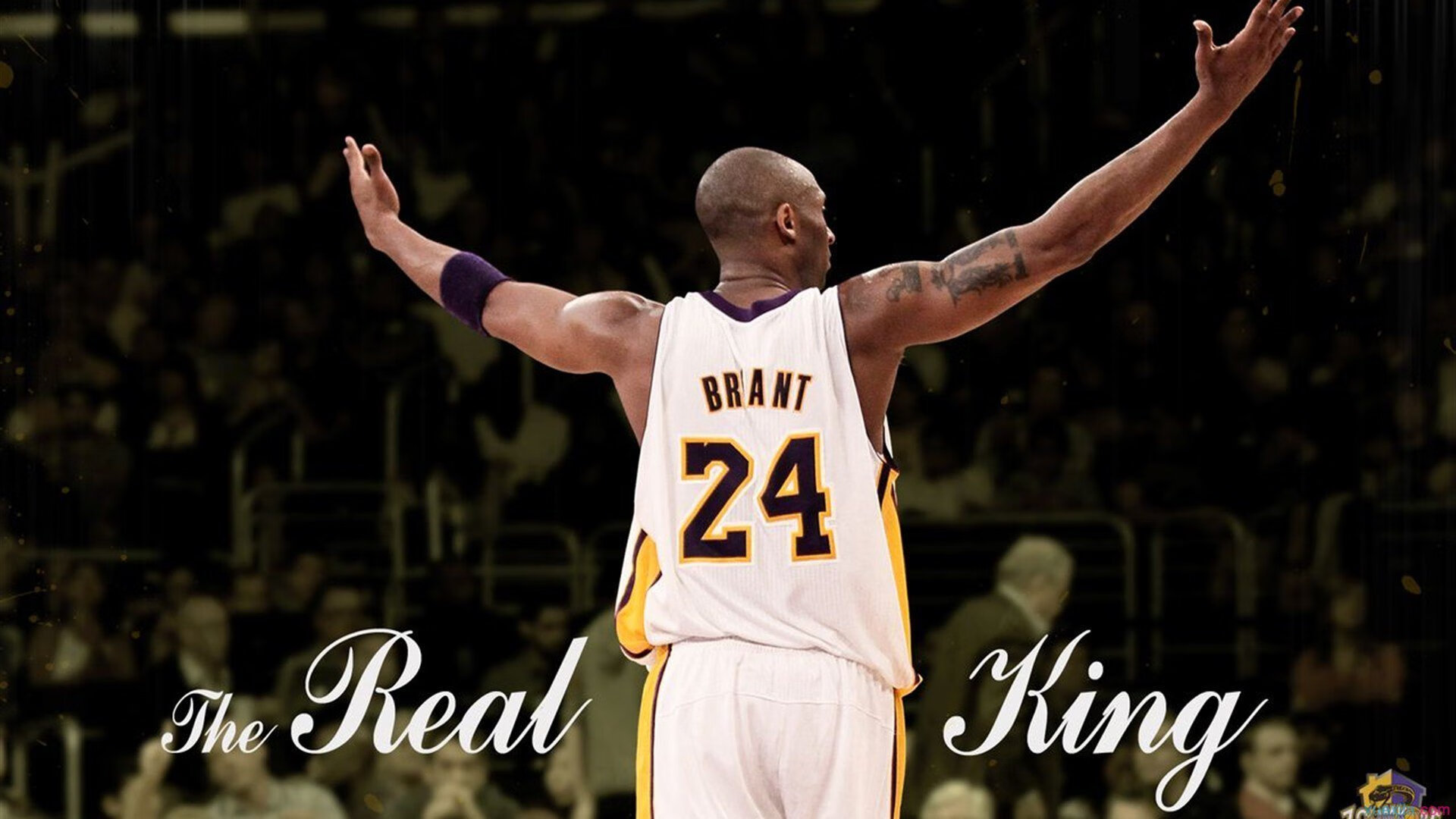 球迷投票：你支持哪一支球队夺冠？，哪支球队球迷最多