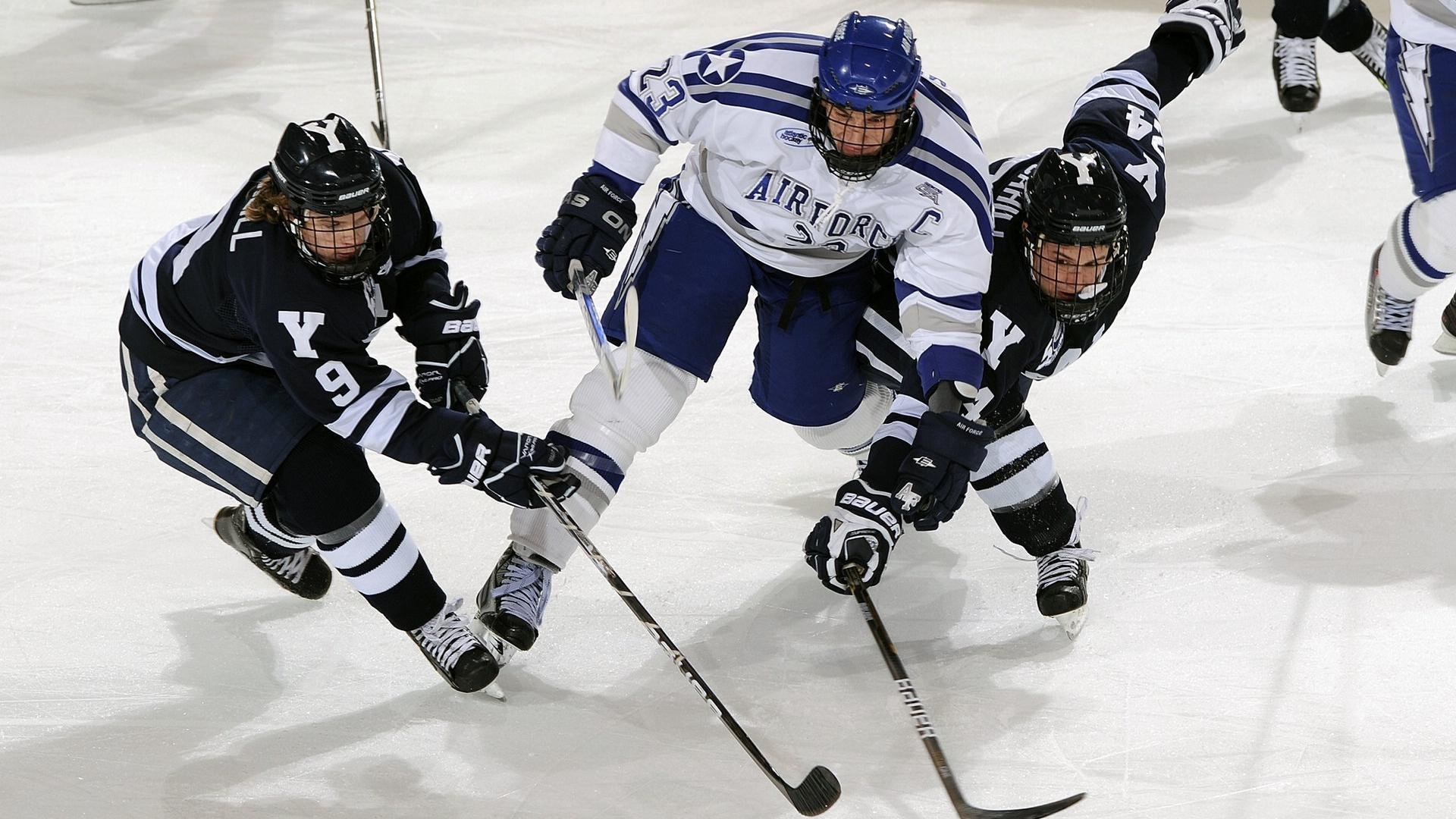 篮球裁判技术培训项目全面启动,篮球裁判培训课程